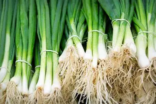 Spring Onions