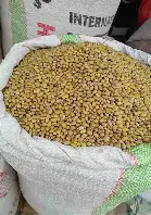 Yellow Beans