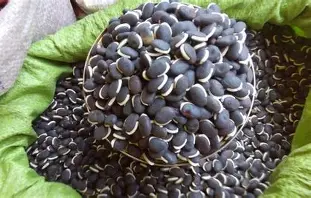 Njahi