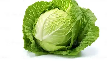Cabbage